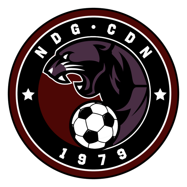 NDGSA